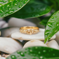 Solid Gold Dew Drop beaded ring resting on smooth stones amidst lush green leaves with water droplets.