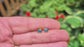 A hand holding a pair of natural teal blue Montana Sapphire stud earrings - set in an outdoor setting with greenery in the background