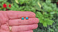 A hand holding a pair of square flashy blue-green Opal stud earrings in textured Gold setting