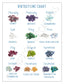 Colorful birthstone chart featuring gemstones for each month of the year, perfect for choosing raw crystal necklaces.