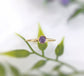 Dainty gold stacking ring featuring a 4mm natural purple Amethyst gemstone, perfect for minimalist jewelry lovers.