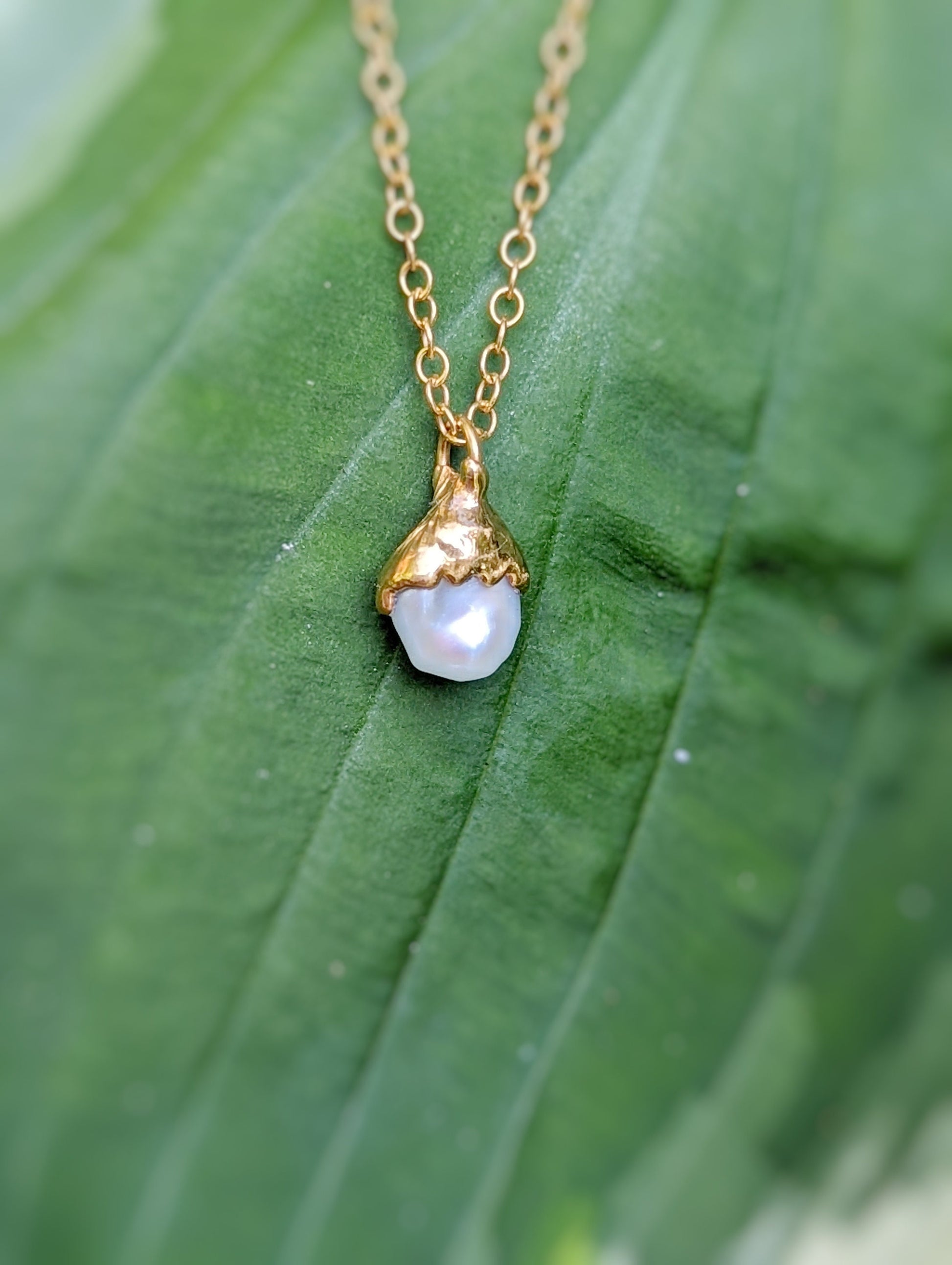 Dainty Freshwater Pearl necklace with 18k Gold electroformed pendant on 14k gold filled chain, set against green leaf background.