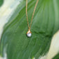 Beautiful Freshwater Pearl necklace on a leaf, featuring a gold-plated pendant and delicate chain. Perfect gift for any occasion.