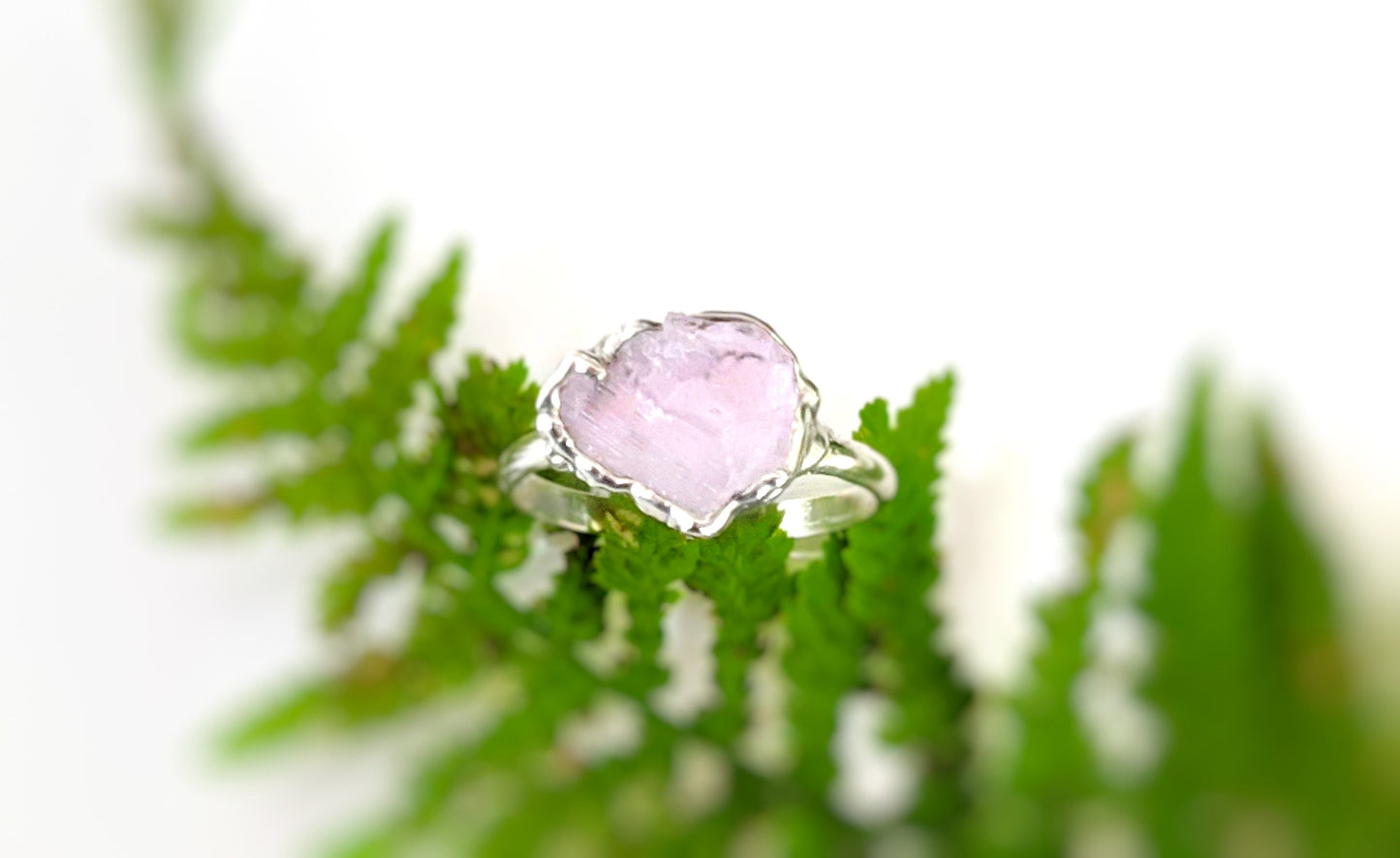Handcrafted raw pink Morganite ring on a Sterling Silver band, surrounded by green fern leaves.