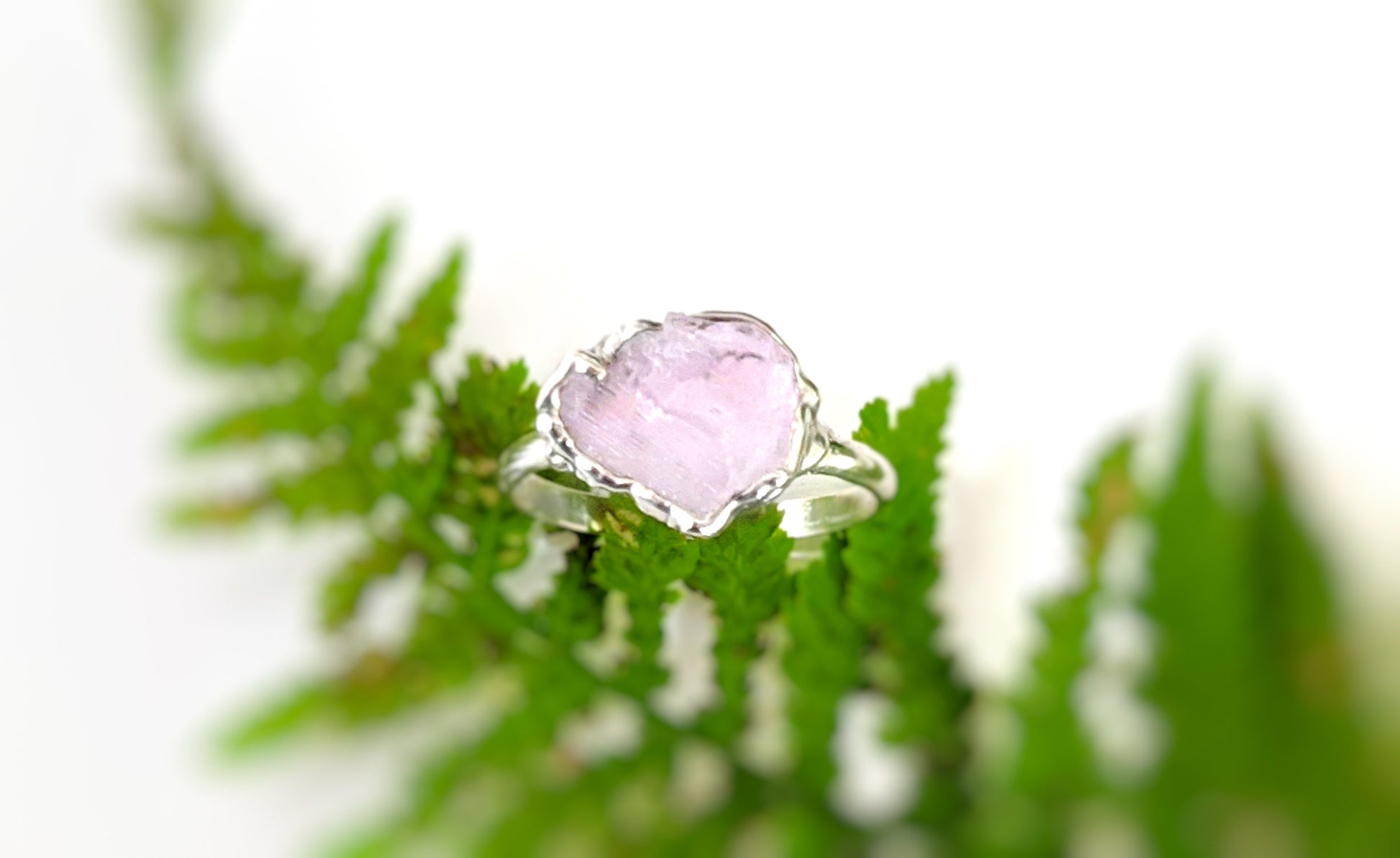 Handcrafted raw pink Morganite ring on a Sterling Silver band, surrounded by green fern leaves.