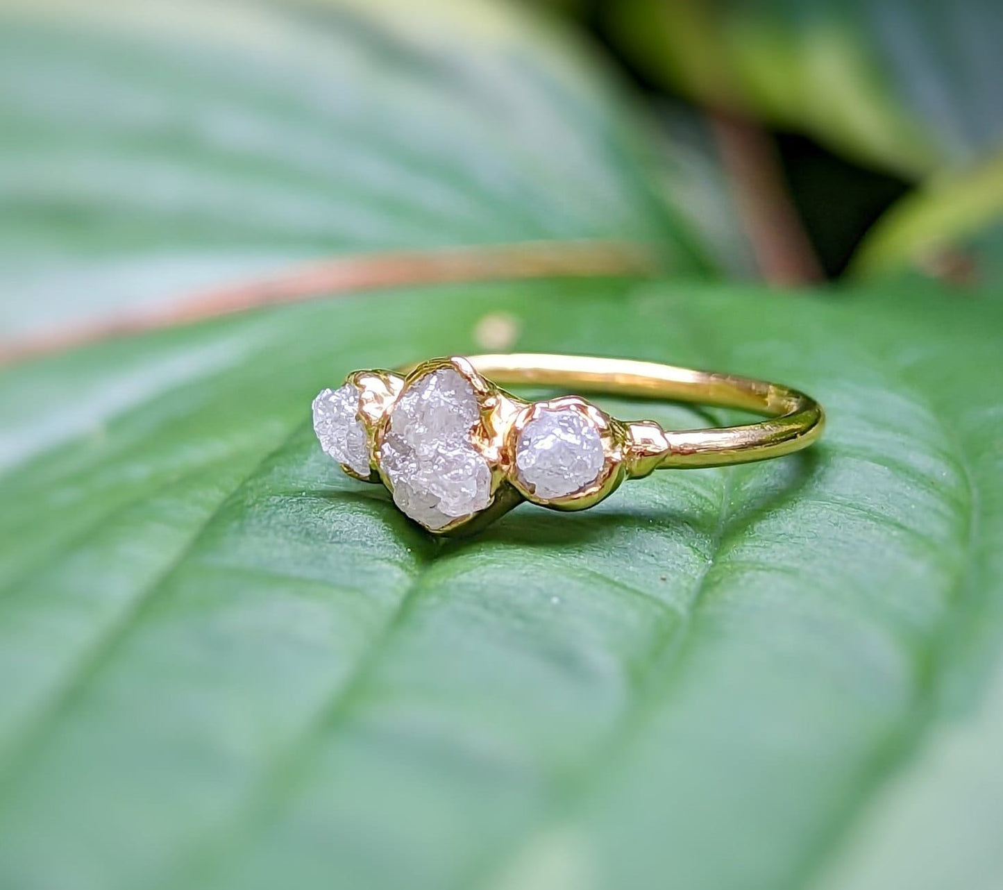 Rustic raw diamond engagement ring with three uncut diamonds on a gold band, featured on green leaves.
