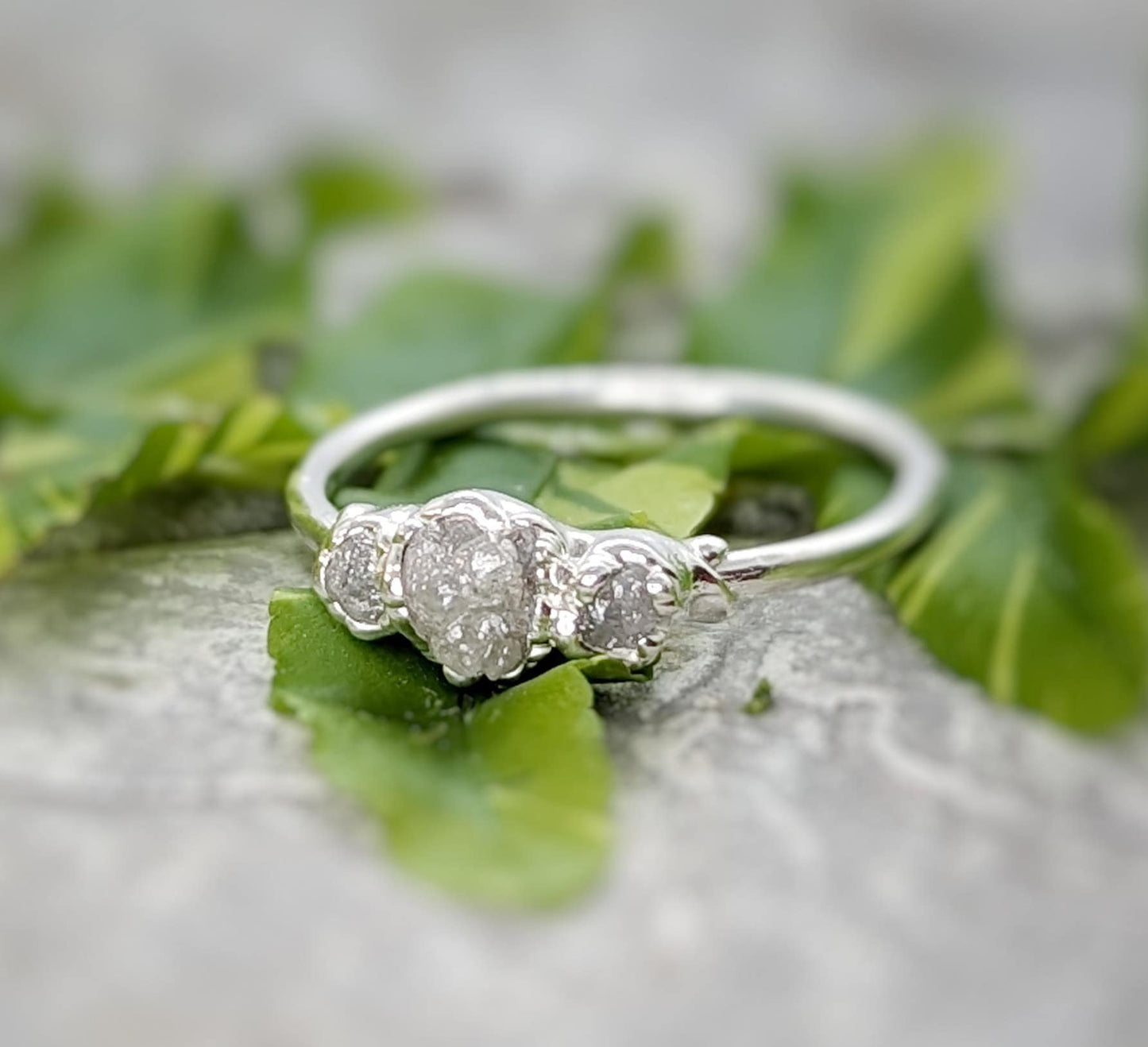 Raw diamond engagement ring featuring a large central diamond and two smaller diamonds on a silver band, surrounded by greenery.